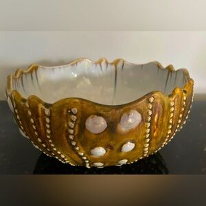 Alison Evans Abalone & Tortoise Sea Urchin Bowl 9” Diameter